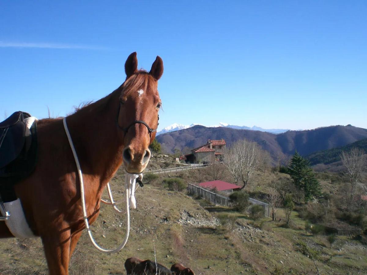 Calice al CornoviglioCasa Della Barcareccia别墅 外观 照片